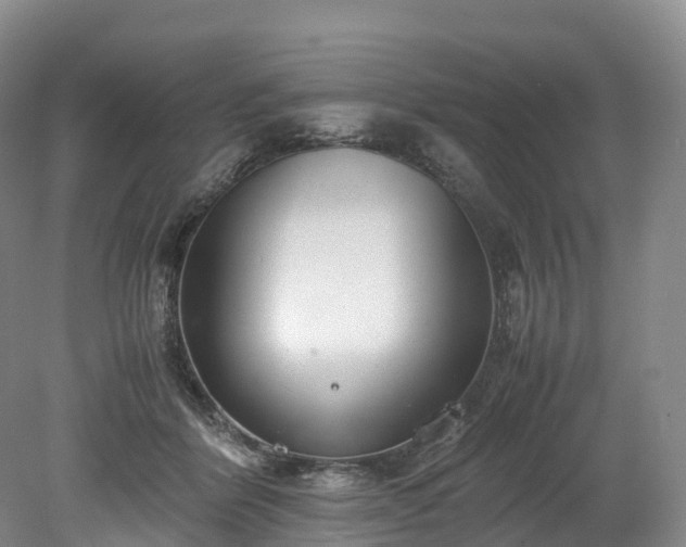 X0000078240412200611101040