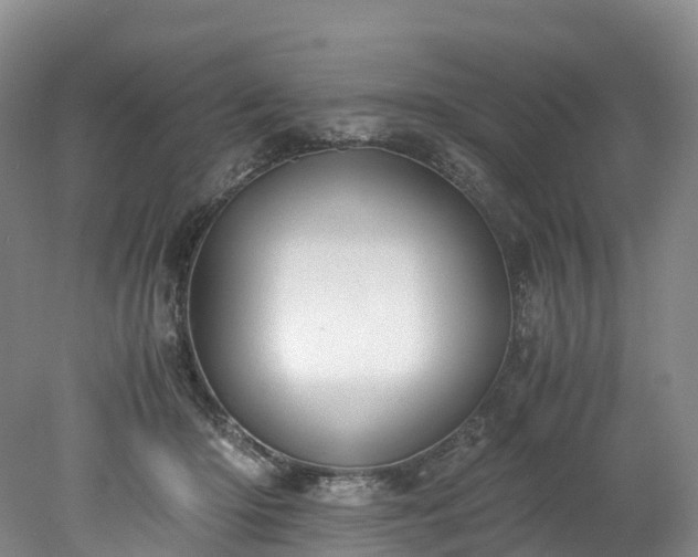 X0000078240414200611101040
