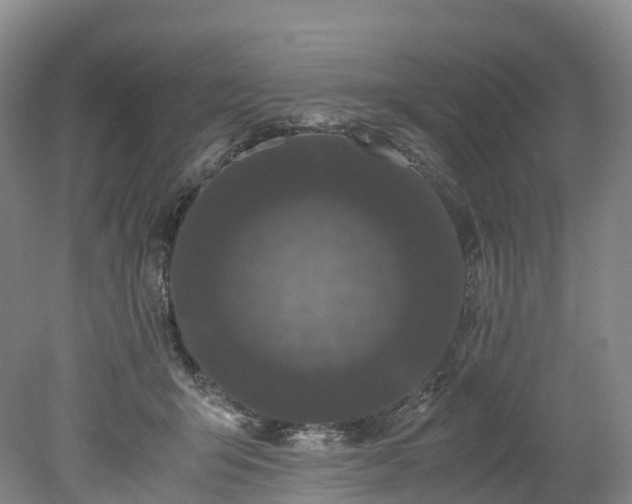 X0000078240415200611101040