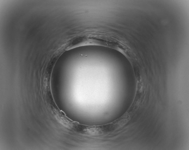 X0000078240417200611101040