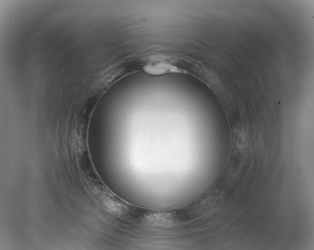 X0000078240422200611101040