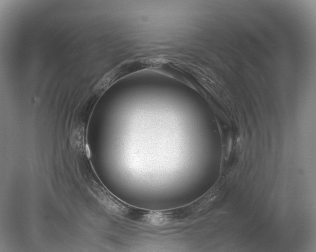 X0000078240425200611101040