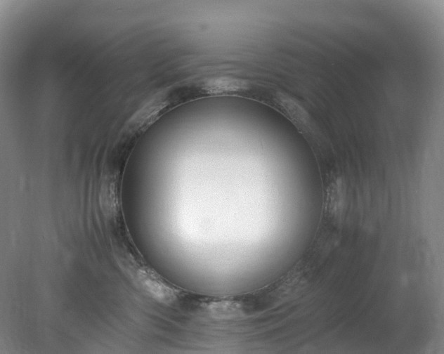 X0000078240426200611101040