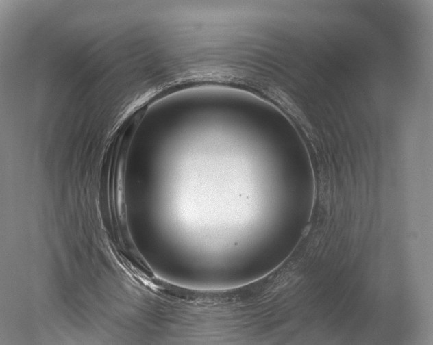 X0000078240434200611101039