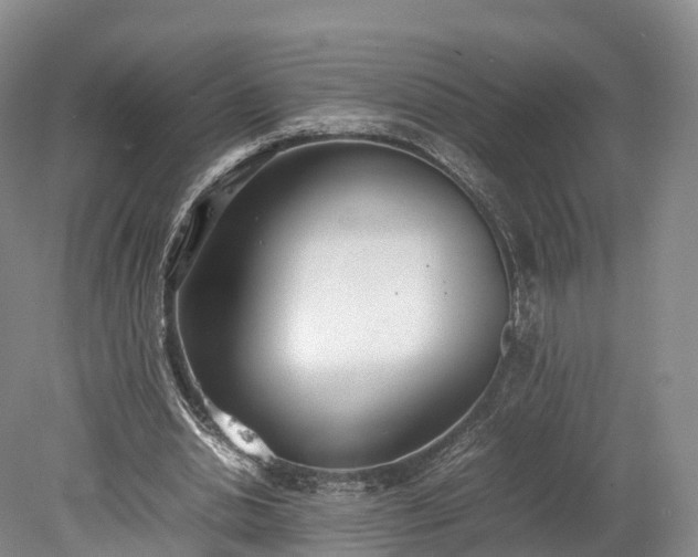 X0000078240438200611101039