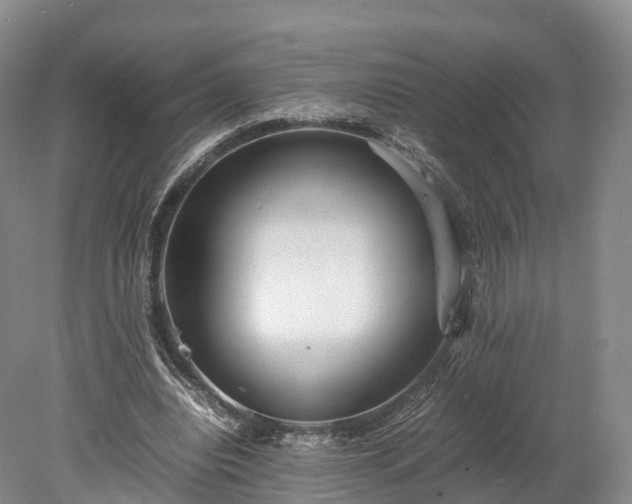 X0000078240440200611101039