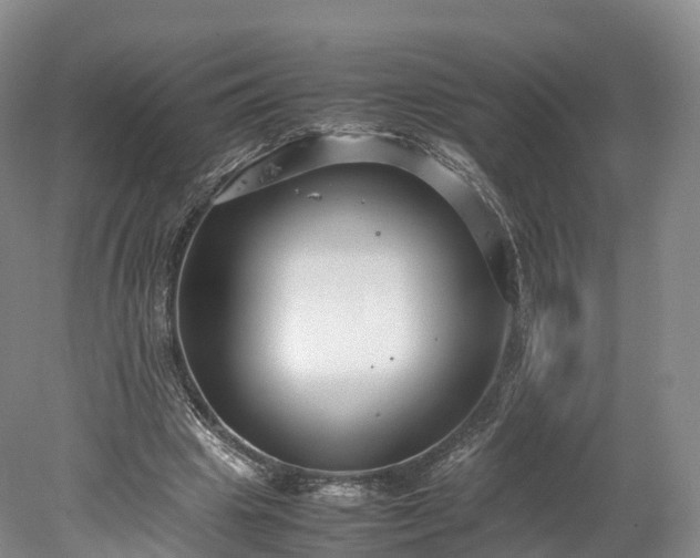 X0000078240441200611101039