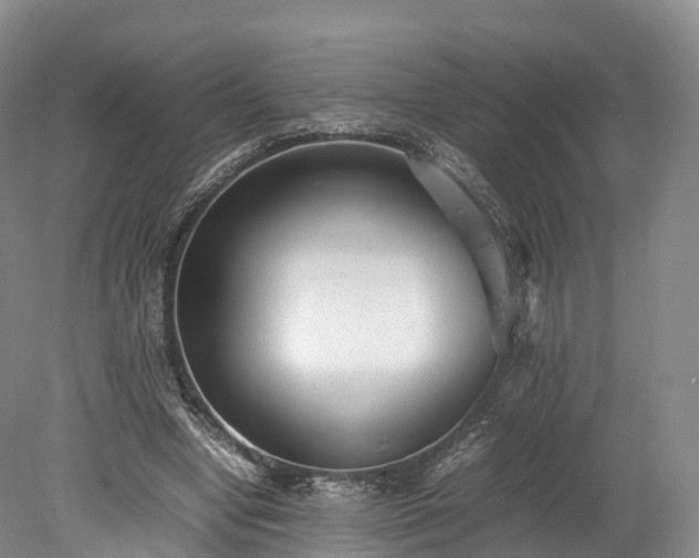 X0000078240442200611101039
