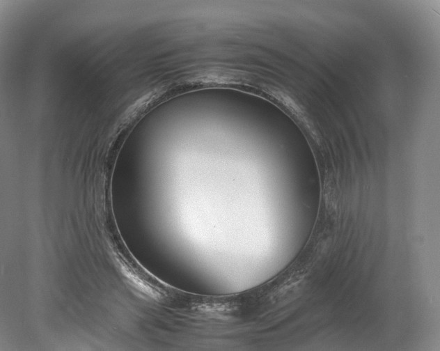 X0000078240445200611101040