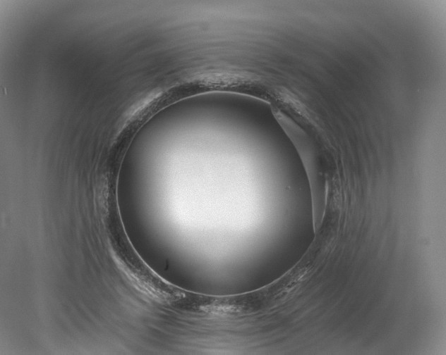 X0000078240448200611101040