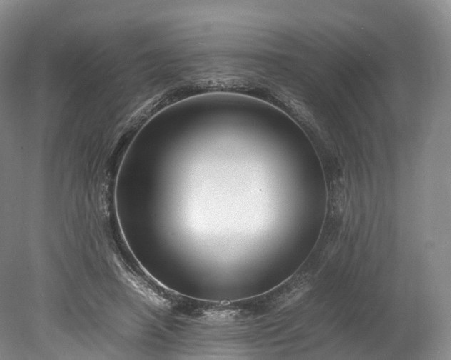 X0000078240450200611101040