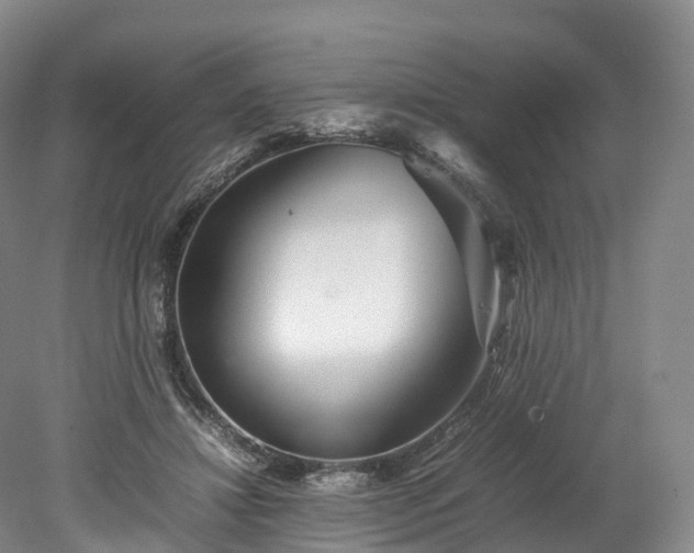 X0000078240452200611101040
