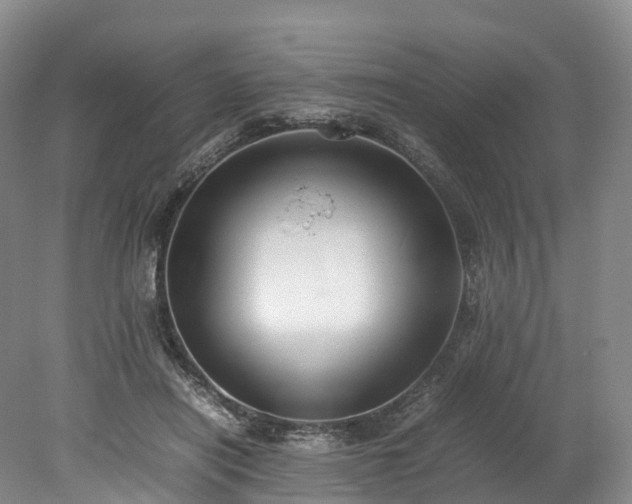 X0000078240454200611101040