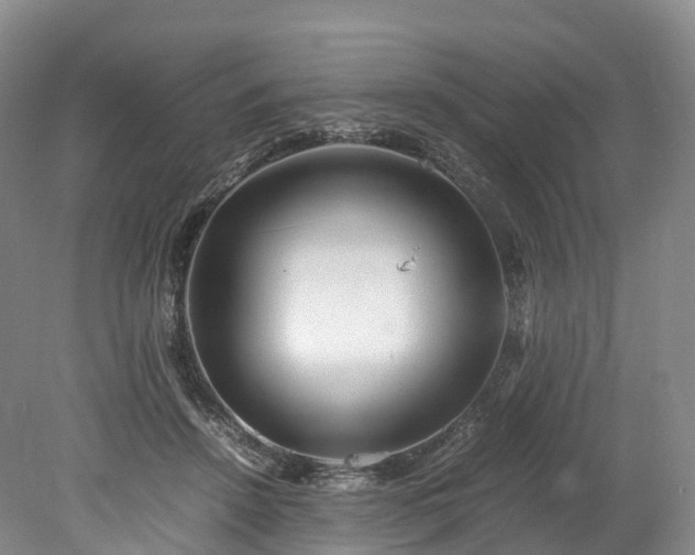 X0000078240456200611101040