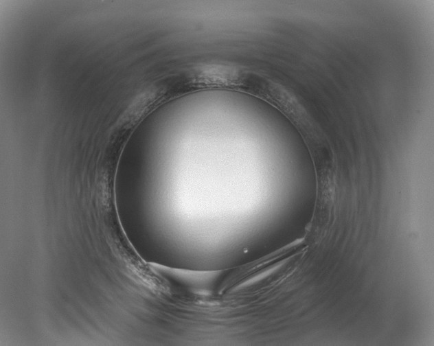 X0000078240457200611101040