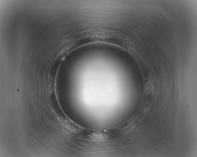X0000078240464200611101040