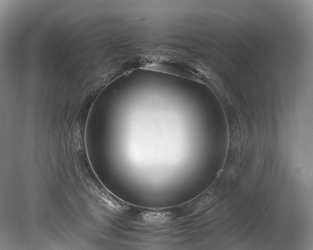 X0000078240465200611101040