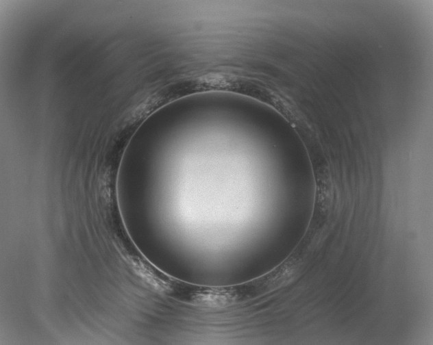 X0000078240466200611101040