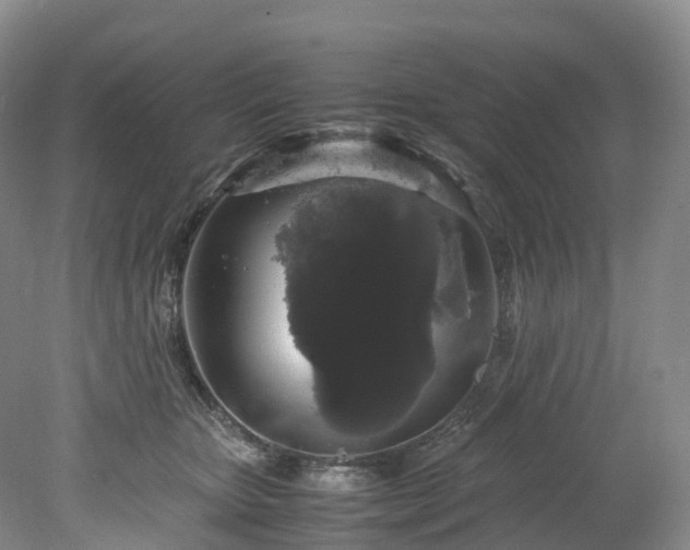 X0000078240467200611101040
