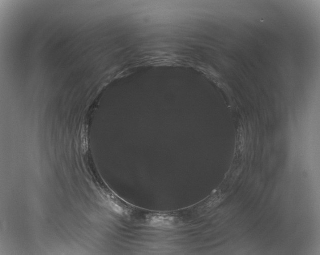 X0000078240471200611101040