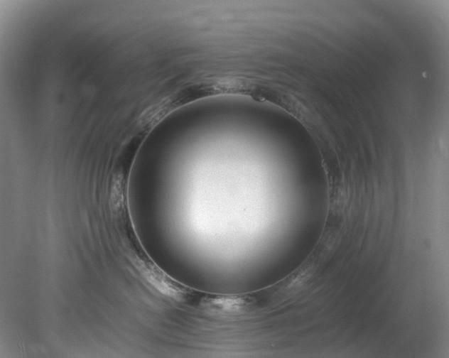 X0000078240478200611101040