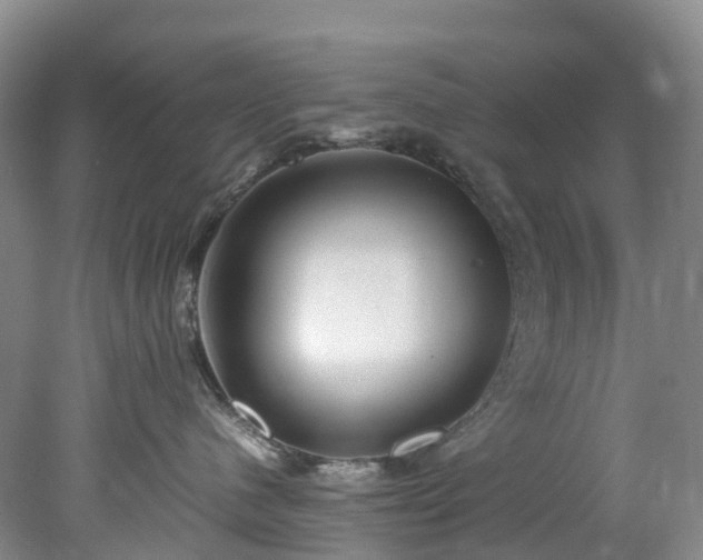 X0000078240480200611101040