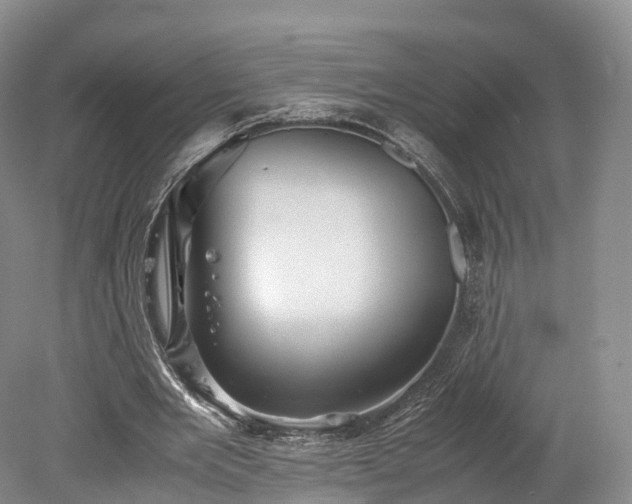 X0000078240485200611101039