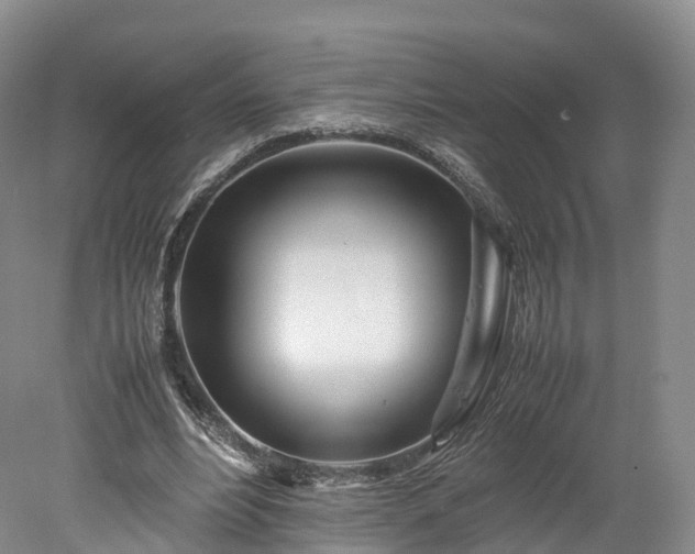 X0000078240488200611101039