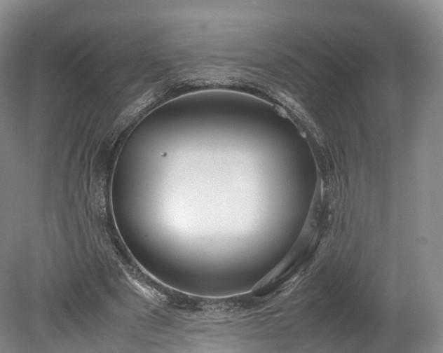 X0000078240489200611101039