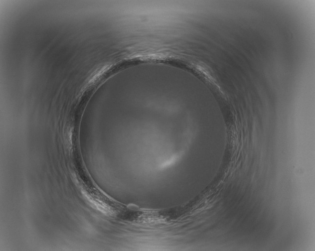 X0000078240491200611101039