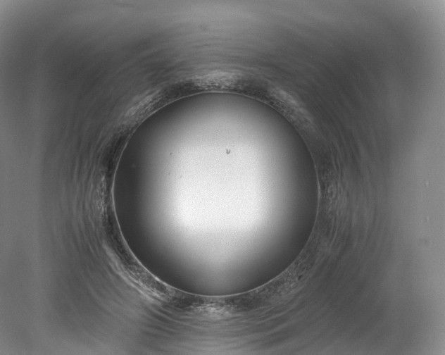 X0000078240498200611101039