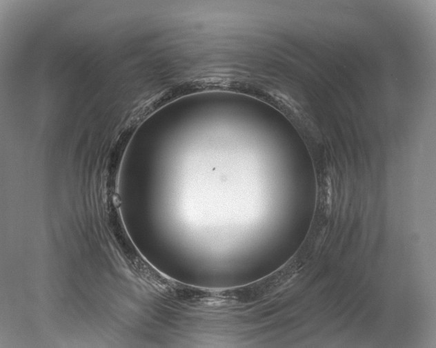 X0000078240504200611101039