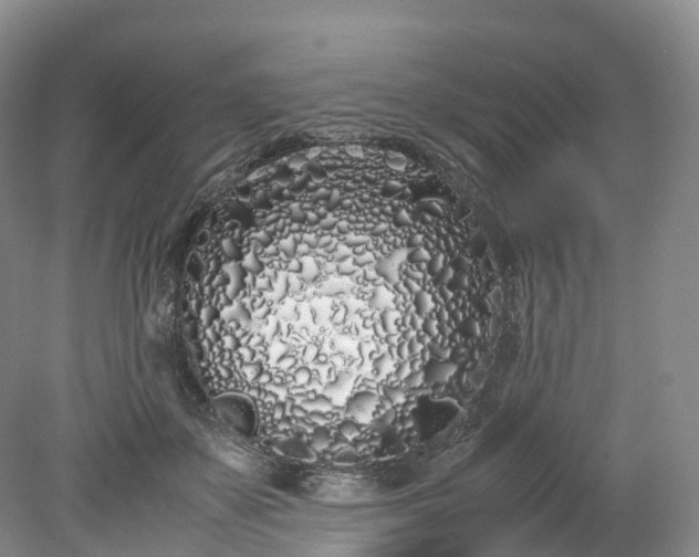 X0000078240507200611101039