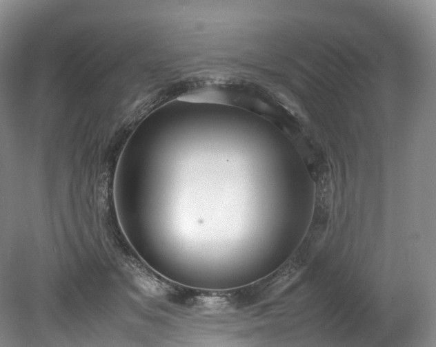 X0000078240509200611101039
