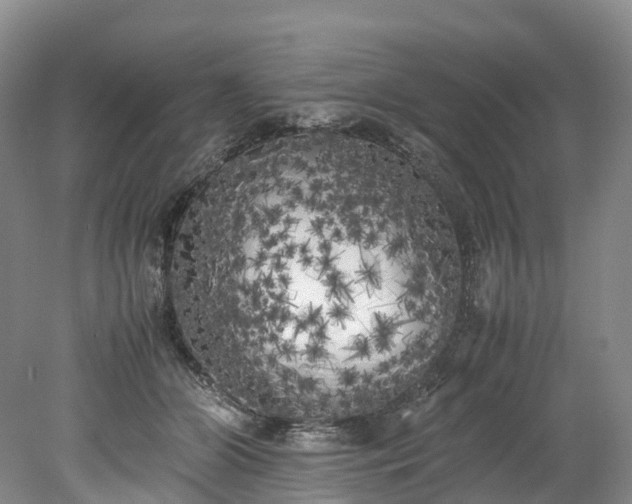 X0000078240510200611101039