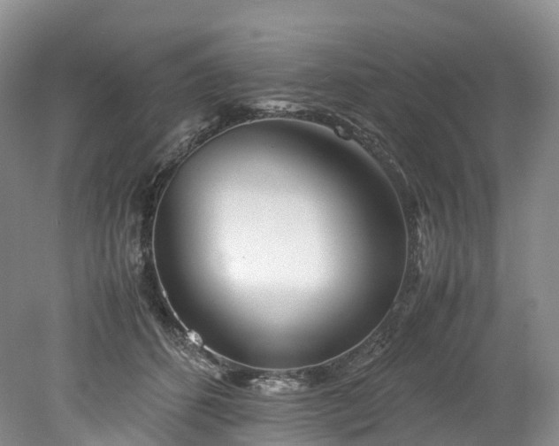 X0000078240512200611101039