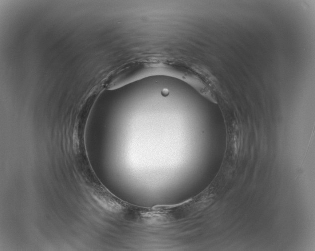 X0000078240516200611101039