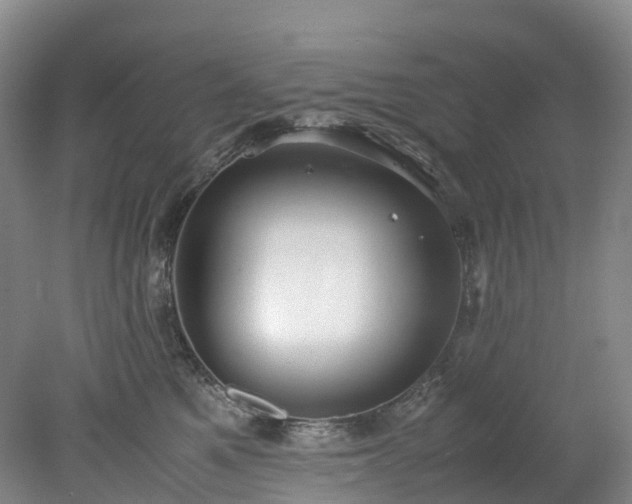 X0000078240521200611101039