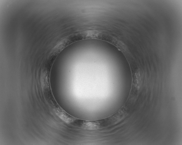 X0000078240522200611101039
