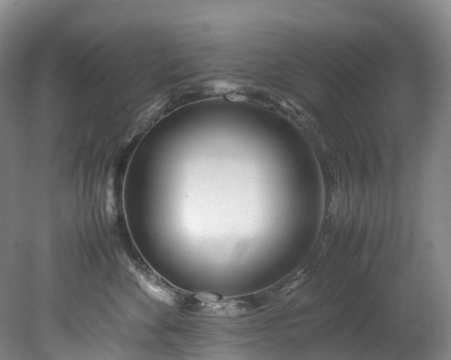 X0000078240524200611101039