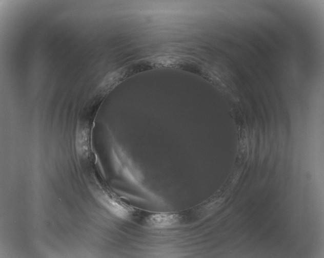 X0000078240526200611101039