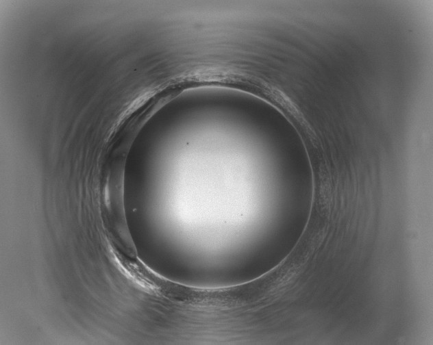 X0000078240530200611101038