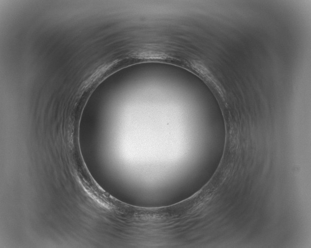 X0000078240533200611101038