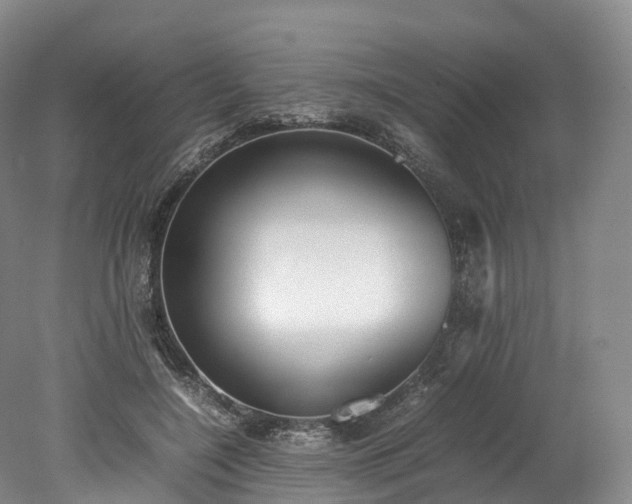 X0000078240548200611101038