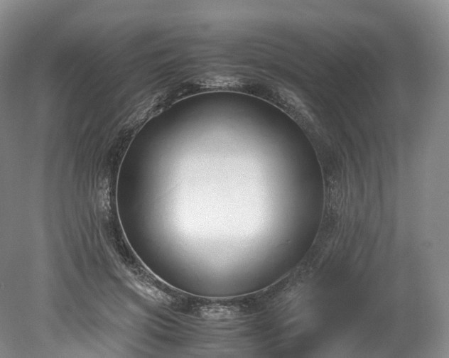 X0000078240549200611101038