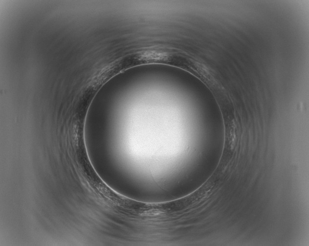 X0000078240551200611101038