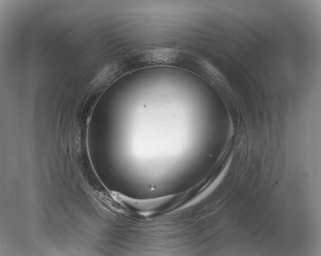 X0000078240552200611101038