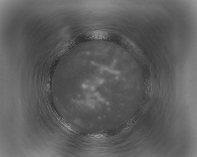 X0000078240553200611101038