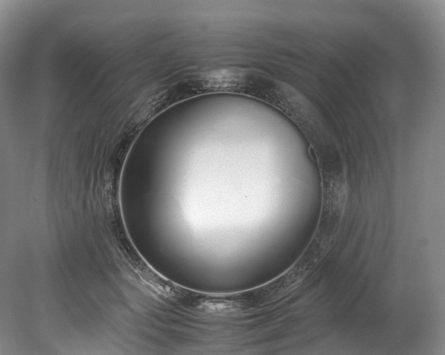 X0000078240557200611101038