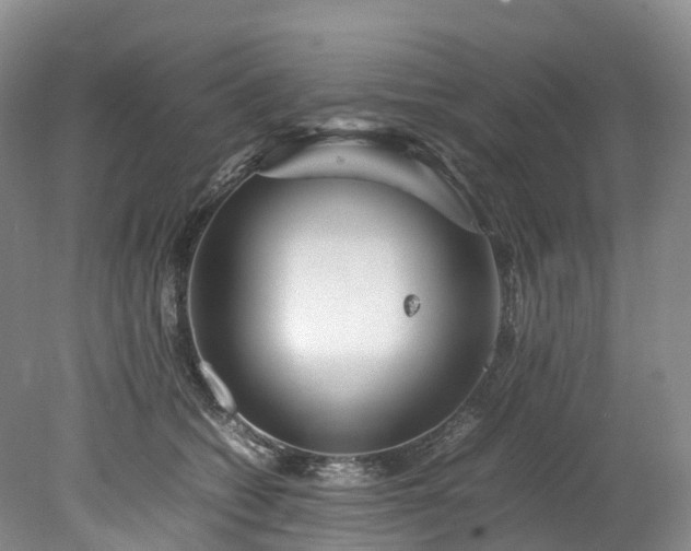 X0000078240562200611101038